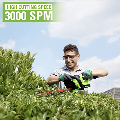 Greenworks Tagliasiepi a Batteria 24 V G24HT56II, Lama Doppia Azione da 56 cm, Taglia Rami e Steli fino a 25.4 mm di Spessore e 3000 SPM con Batteria 2 Ah &amp; Caricabatterie : Amazon.it: Giardino e giardinaggio