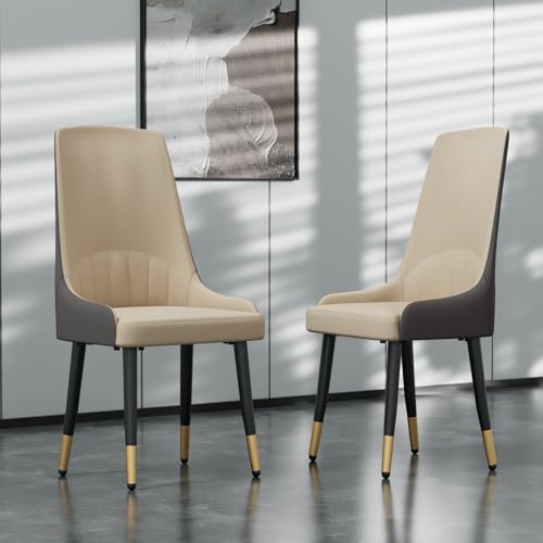 FATIVO Set 2 Sedie Sala da Pranzo: Sedie Cucina in Pelle Sedie Scandinave Imbottita Elegante Sedie Soggiorno Camera da Letto Design Moderno Ampio Schienale, Portata 150kg Beige e Grigio : Amazon.it: Casa e cucina