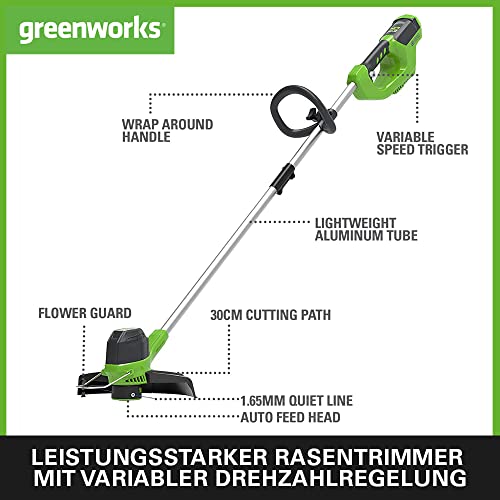 Greenworks 40V Tagliabordi a Batteria per Giardini Medi, Altezza Regolabile, Ampiezza di Taglio 30cm, Filo di Nylon da 1,65mm con Autofeed, Batteria 40V 2Ah e Caricabatterie, Garanzia 3 Anni G40LTK2 : Amazon.it: Giardino e giardinaggio