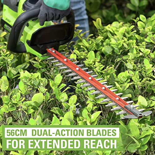 Greenworks Tagliasiepi a Batteria 24 V G24HT56II, Lama Doppia Azione da 56 cm, Taglia Rami e Steli fino a 25.4 mm di Spessore e 3000 SPM con Batteria 2 Ah &amp; Caricabatterie : Amazon.it: Giardino e giardinaggio