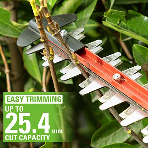 Greenworks Tagliasiepi a Batteria 24 V G24HT56II, Lama Doppia Azione da 56 cm, Taglia Rami e Steli fino a 25.4 mm di Spessore e 3000 SPM con Batteria 2 Ah &amp; Caricabatterie : Amazon.it: Giardino e giardinaggio