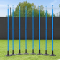 FORZA Pali Slalom Allenamento Calcio   Spessore 34mm | 2X Misure: 1m/1,8m | per Allenamenti : Amazon.it: Sport e tempo libero