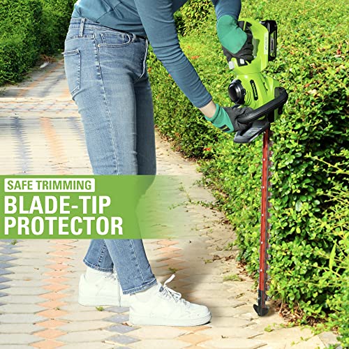 Greenworks Tagliasiepi a Batteria 24 V G24HT56II, Lama Doppia Azione da 56 cm, Taglia Rami e Steli fino a 25.4 mm di Spessore e 3000 SPM con Batteria 2 Ah &amp; Caricabatterie : Amazon.it: Giardino e giardinaggio